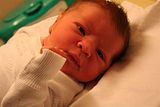 Frieda Marie von Henning S (1)
